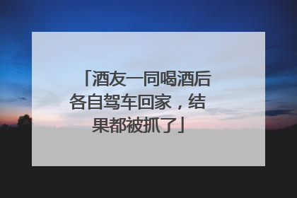 酒友一同喝酒后各自驾车回家，结果都被抓了