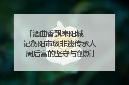 酒曲香飘耒阳城——记衡阳市级非遗传承人周后富的坚守与创新