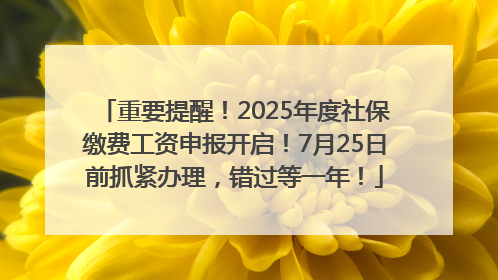 重要提醒！2025年度社保缴费工资申报开启！7月25日前抓紧办理，错过等一年！