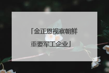 金正恩视察朝鲜重要军工企业