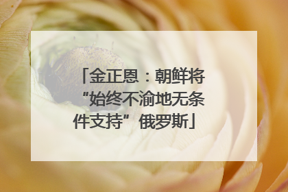 金正恩：朝鲜将“始终不渝地无条件支持”俄罗斯