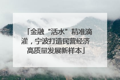 金融“活水”精准滴灌，宁波打造民营经济高质量发展新样本