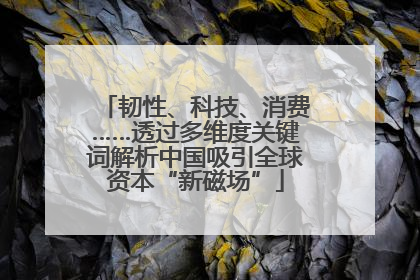 韧性、科技、消费……透过多维度关键词解析中国吸引全球资本“新磁场”