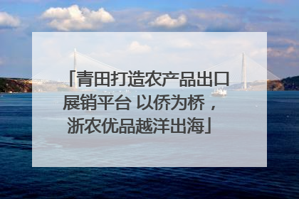 青田打造农产品出口展销平台 以侨为桥，浙农优品越洋出海