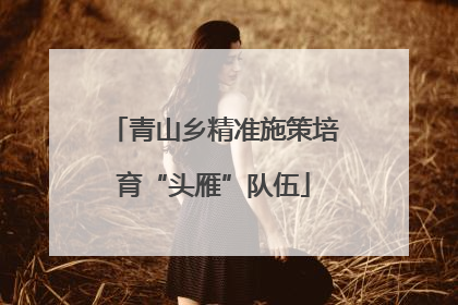 青山乡精准施策培育“头雁”队伍