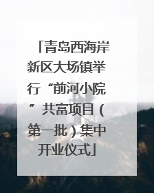 青岛西海岸新区大场镇举行“前河小院”共富项目（第一批）集中开业仪式