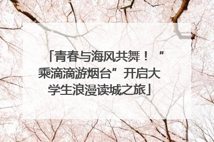 青春与海风共舞！“乘滴滴游烟台”开启大学生浪漫读城之旅