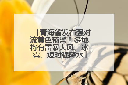 青海省发布强对流黄色预警！多地将有雷暴大风、冰雹、短时强降水