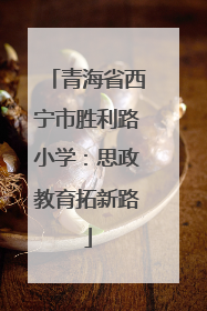 青海省西宁市胜利路小学：思政教育拓新路