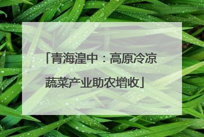 青海湟中：高原冷凉蔬菜产业助农增收