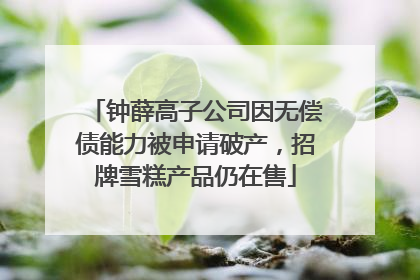 钟薛高子公司因无偿债能力被申请破产，招牌雪糕产品仍在售