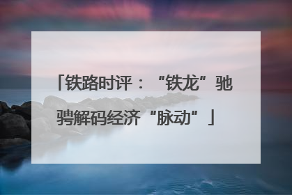 铁路时评：“铁龙”驰骋解码经济“脉动”