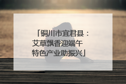 铜川市宜君县：艾草飘香迎端午 特色产业助振兴