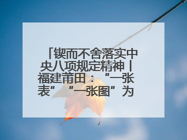 锲而不舍落实中央八项规定精神丨福建莆田：“一张表”“一张图”为基层减轻“数字负担”