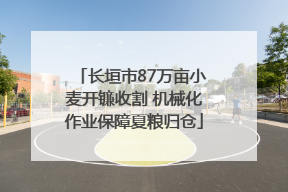 长垣市87万亩小麦开镰收割 机械化作业保障夏粮归仓