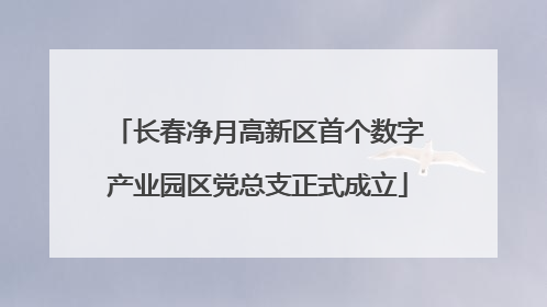 长春净月高新区首个数字产业园区党总支正式成立