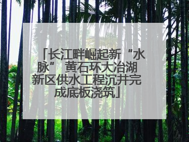 长江畔崛起新“水脉” 黄石环大冶湖新区供水工程沉井完成底板浇筑