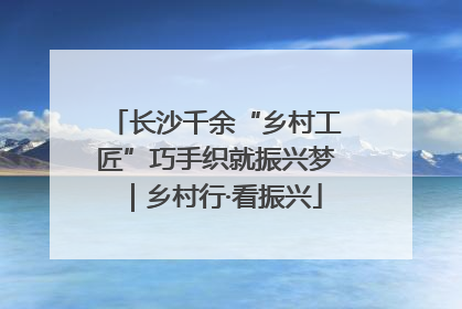 长沙千余“乡村工匠”巧手织就振兴梦｜乡村行·看振兴