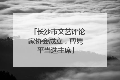 长沙市文艺评论家协会成立，曹隽平当选主席