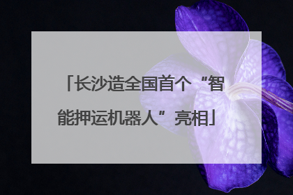 长沙造全国首个“智能押运机器人”亮相