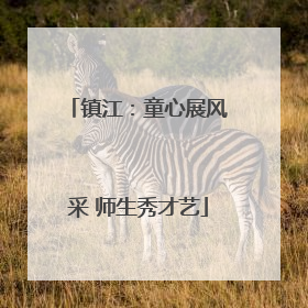 镇江：童心展风采 师生秀才艺