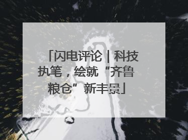 闪电评论｜科技执笔，绘就“齐鲁粮仓”新丰景