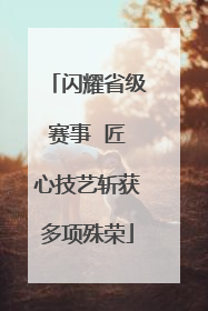 闪耀省级赛事  匠心技艺斩获多项殊荣