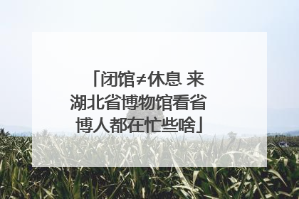 闭馆≠休息 来湖北省博物馆看省博人都在忙些啥
