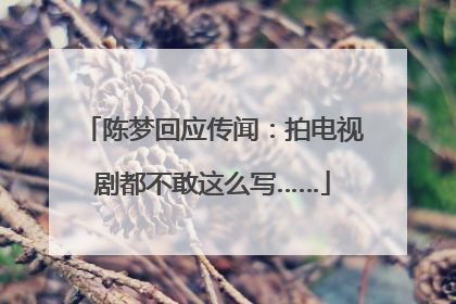 陈梦回应传闻：拍电视剧都不敢这么写……