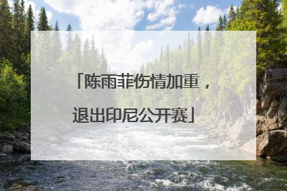 陈雨菲伤情加重，退出印尼公开赛