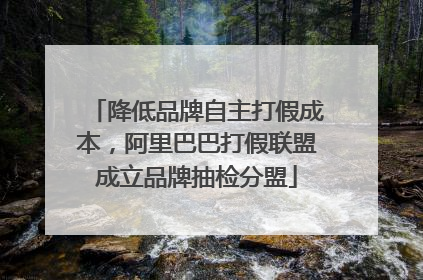 降低品牌自主打假成本，阿里巴巴打假联盟成立品牌抽检分盟