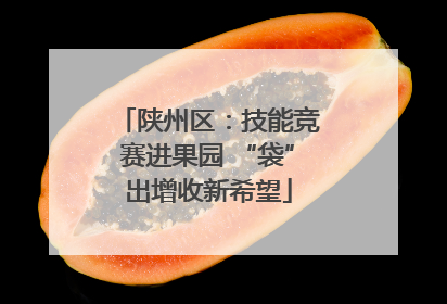 陕州区：技能竞赛进果园 “袋”出增收新希望