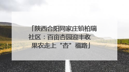 陕西合阳同家庄镇柏瑞社区：百亩杏园迎丰收 果农走上“杏”福路