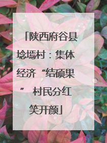 陕西府谷县埝墕村：集体经济“结硕果” 村民分红笑开颜
