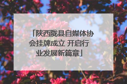 陕西陇县自媒体协会挂牌成立 开启行业发展新篇章