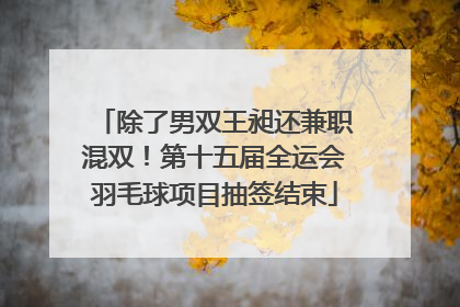 除了男双王昶还兼职混双！第十五届全运会羽毛球项目抽签结束