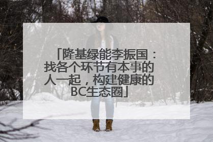 隆基绿能李振国：找各个环节有本事的人一起，构建健康的BC生态圈