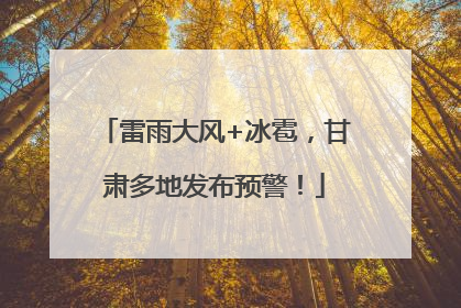 雷雨大风+冰雹，甘肃多地发布预警！
