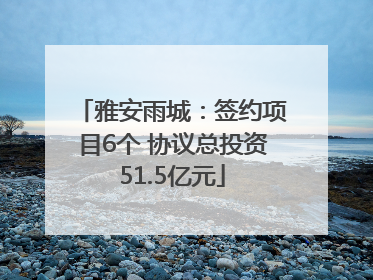 雅安雨城：签约项目6个 协议总投资51.5亿元