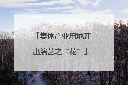 集体产业用地开出演艺之“花”