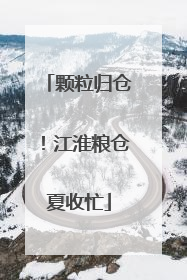 颗粒归仓！江淮粮仓夏收忙