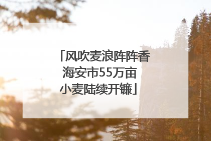 风吹麦浪阵阵香 海安市55万亩小麦陆续开镰