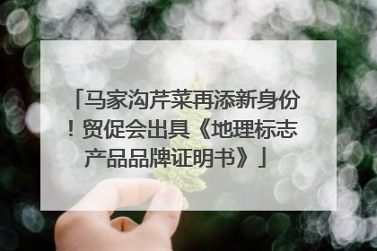 马家沟芹菜再添新身份！贸促会出具《地理标志产品品牌证明书》