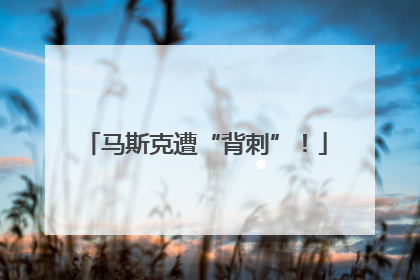 马斯克遭“背刺”！