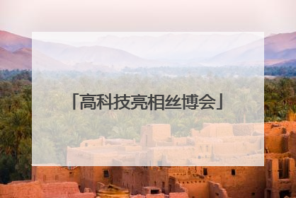 高科技亮相丝博会