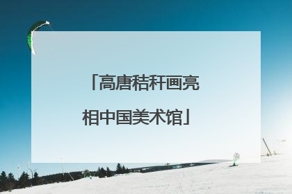 高唐秸秆画亮相中国美术馆