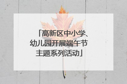 高新区中小学、幼儿园开展端午节主题系列活动