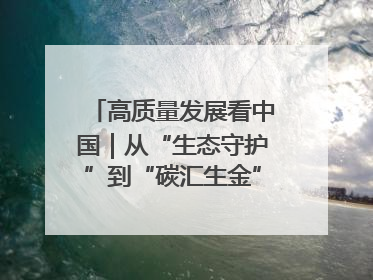 高质量发展看中国｜从“生态守护”到“碳汇生金”——中国石油大庆油田绿色蝶变