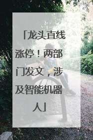 龙头直线涨停！两部门发文，涉及智能机器人