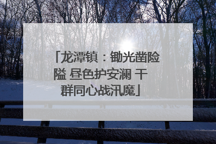 龙潭镇：锄光凿险隘 昼色护安澜 干群同心战汛魔